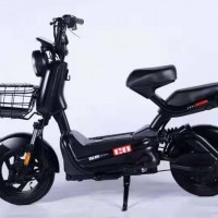 踏浪電動(dòng)車河間銷售中心